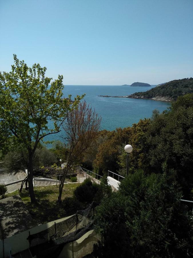 Absolut View *
